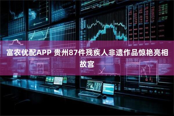 富农优配APP 贵州87件残疾人非遗作品惊艳亮相故宫