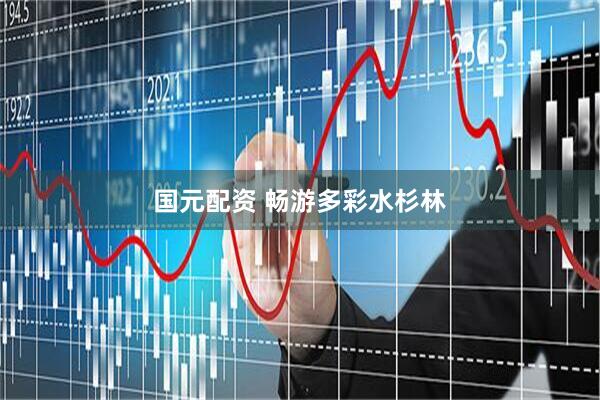 国元配资 畅游多彩水杉林