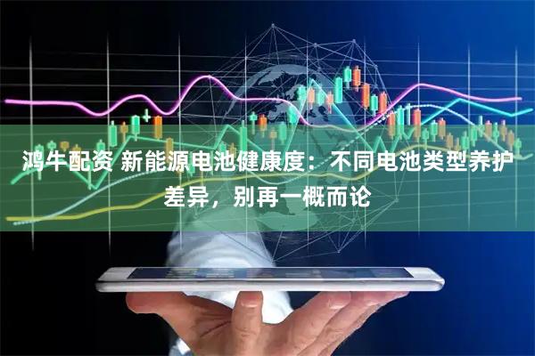 鸿牛配资 新能源电池健康度：不同电池类型养护差异，别再一概而论