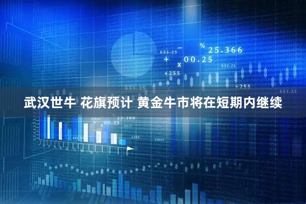 武汉世牛 花旗预计 黄金牛市将在短期内继续