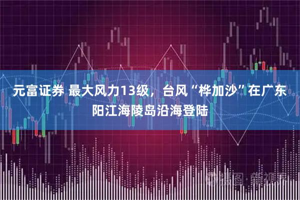 元富证券 最大风力13级，台风“桦加沙”在广东阳江海陵岛沿海登陆