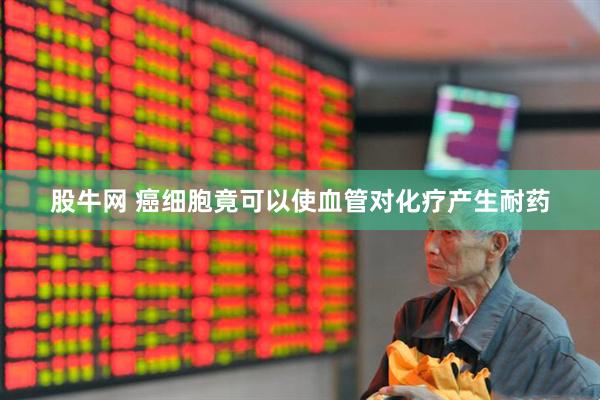 股牛网 癌细胞竟可以使血管对化疗产生耐药