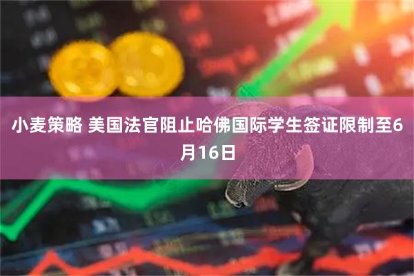 小麦策略 美国法官阻止哈佛国际学生签证限制至6月16日