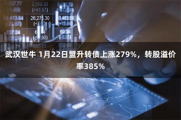 武汉世牛 1月22日盟升转债上涨279%，转股溢价率385%