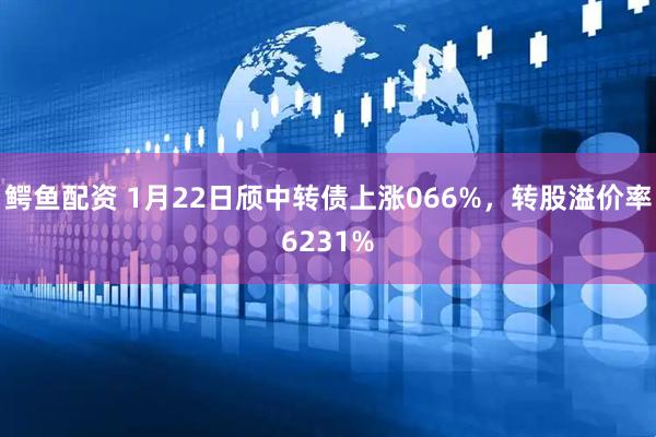 鳄鱼配资 1月22日颀中转债上涨066%,转股溢价率6231%