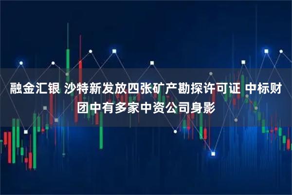 融金汇银 沙特新发放四张矿产勘探许可证 中标财团中有多家中资公司身影